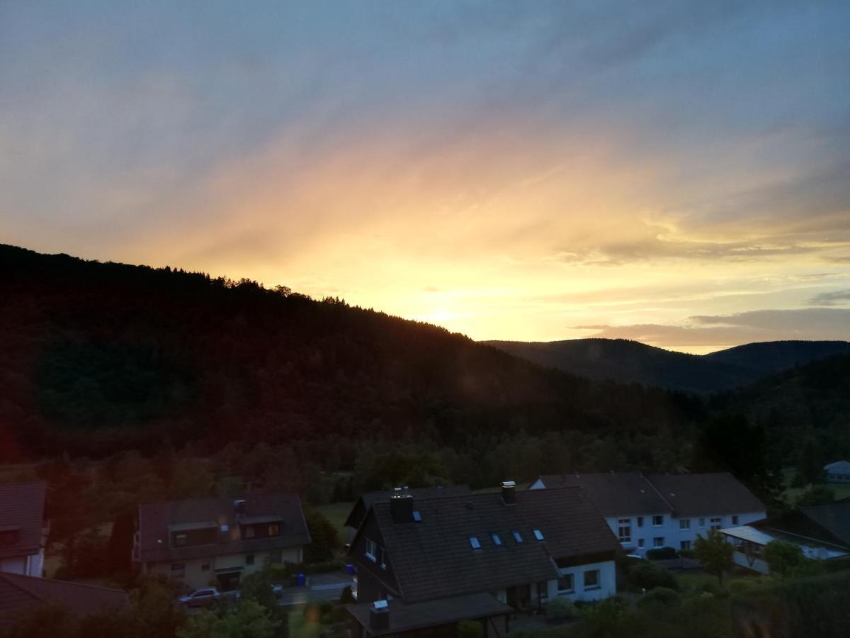 Willa Hills Hut Langelsheim Zewnętrze zdjęcie