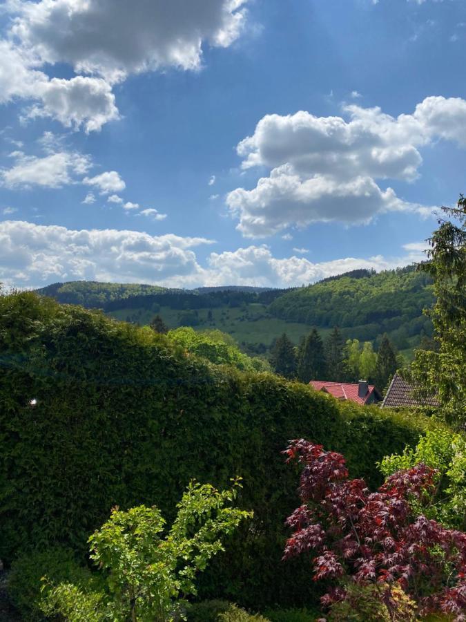 Willa Hills Hut Langelsheim Zewnętrze zdjęcie